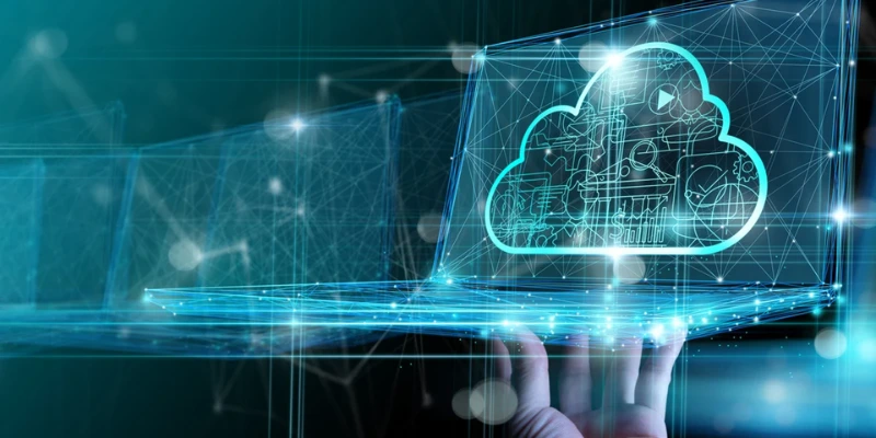 How do organizations optimize costs using cloud computing? 