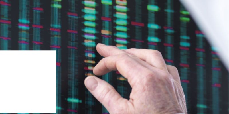 How to Choose Between Clinical SAS and Medical Coding